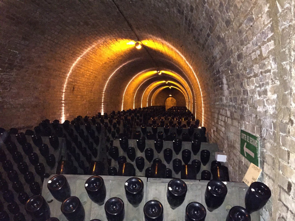 Krug champagne tour cellars