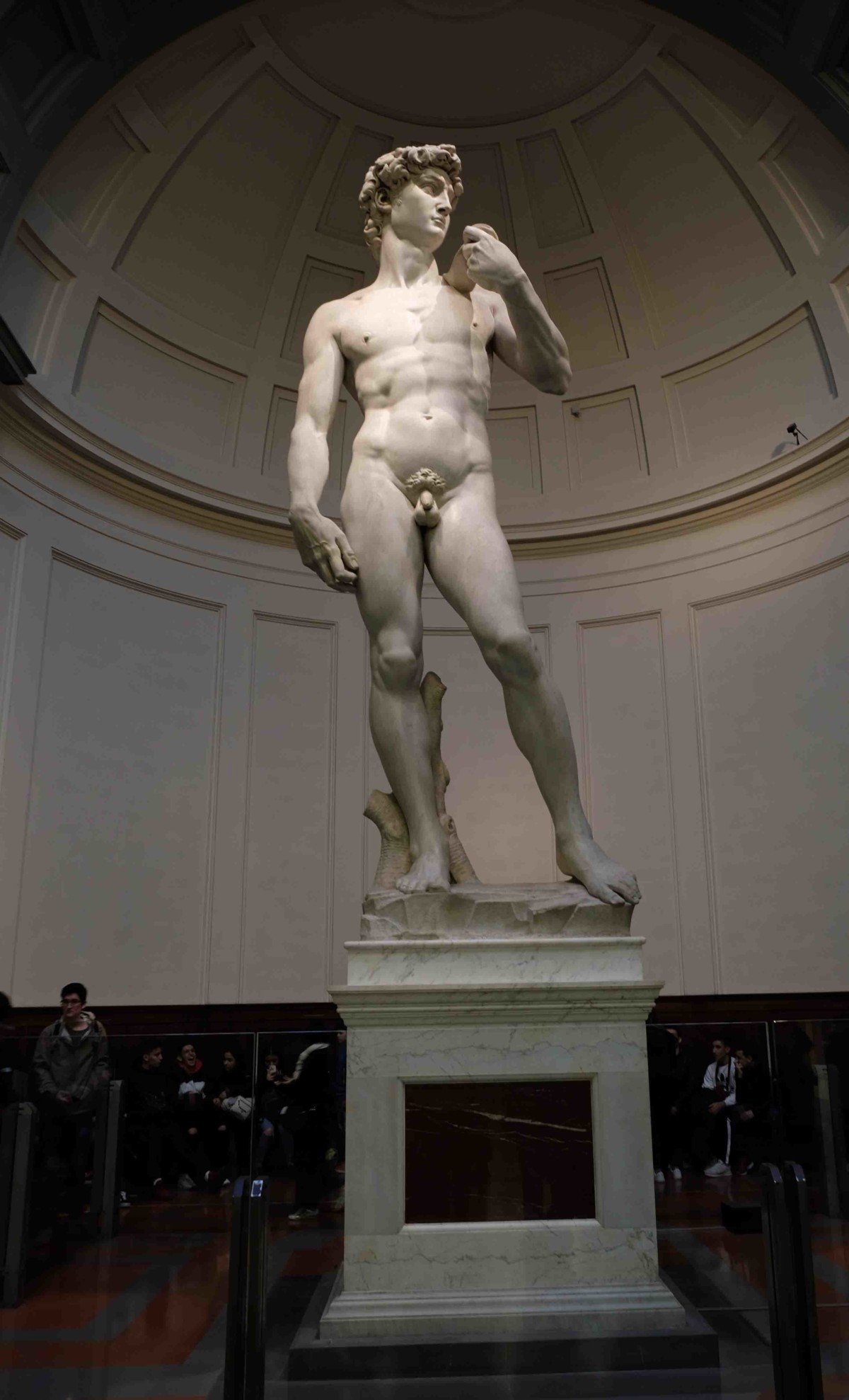 Visit Florence and Michelangelo's David and Duomo with Livitaly