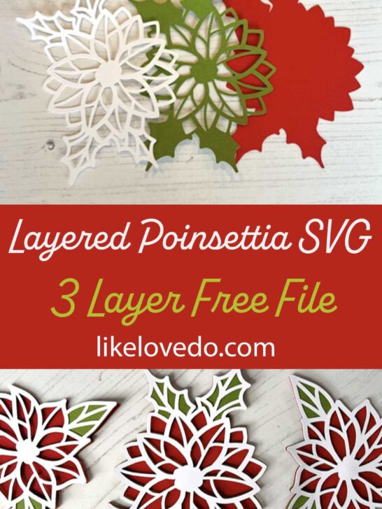 Poinsettia SVG christmas flower SVG
